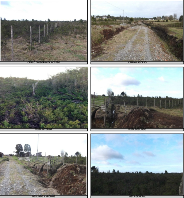 Terreno comercial de 17.200M2 Sector Trapén